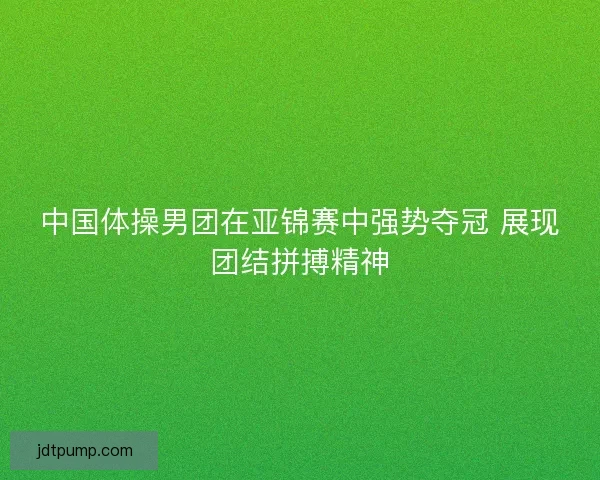 中国体操男团在亚锦赛中强势夺冠 展现团结拼搏精神 中国体操男团在亚锦赛中强势夺冠 展现团结拼搏精神