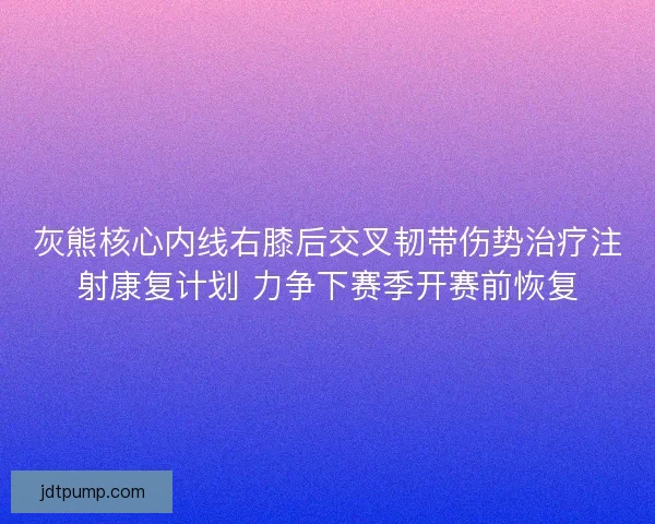 灰熊核心内线右膝后交叉韧带伤势治疗注射康复计划 力争下赛季开赛前恢复