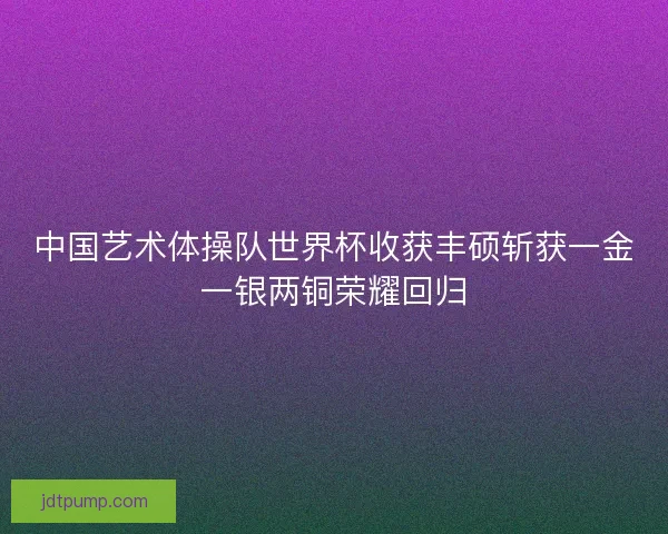中国艺术体操队世界杯收获丰硕斩获一金一银两铜荣耀回归