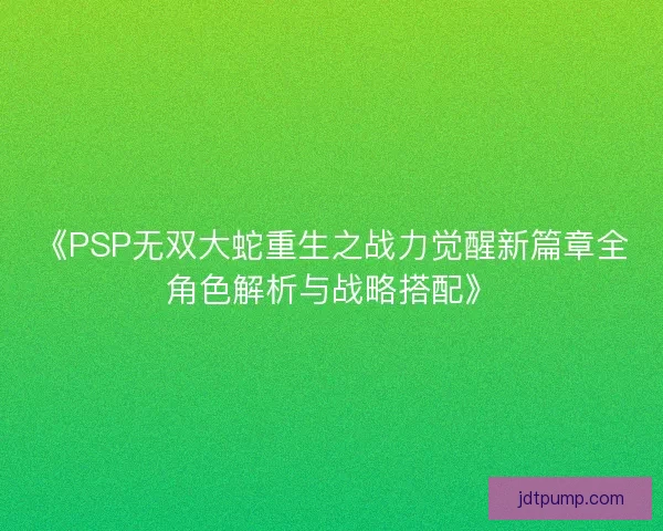 《PSP无双大蛇重生之战力觉醒新篇章全角色解析与战略搭配》